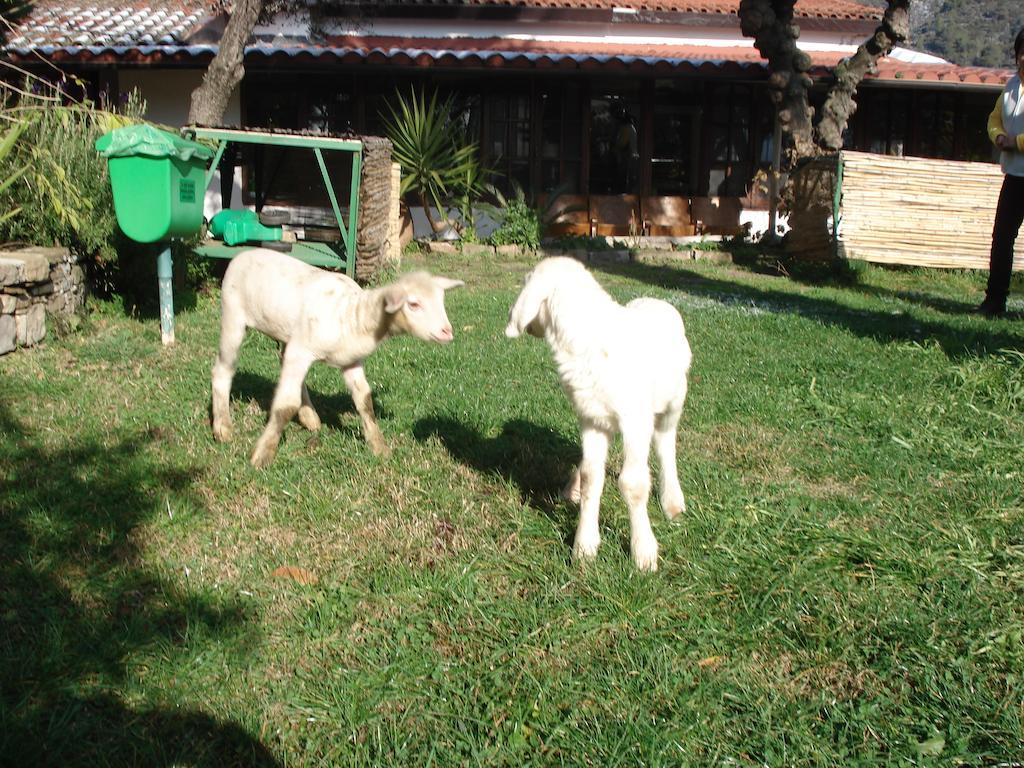 Вилла Agriturismo La Vecchia Дольчеаккуа Экстерьер фото
